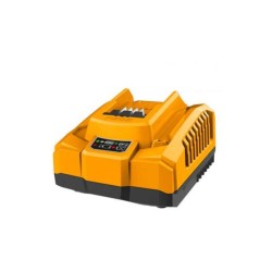 CARGADOR 20V 4AH